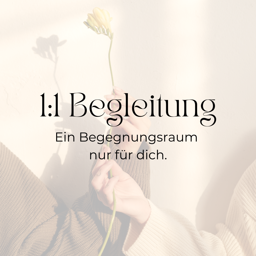 1:1 Begleitung