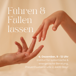 "Führen & Fallen lassen" 6. Dezember, Steyr